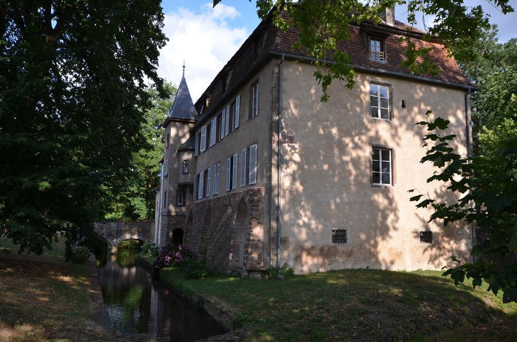 Chambres D'Hotes Chateau De Grunstein Stotzheim Екстер'єр фото