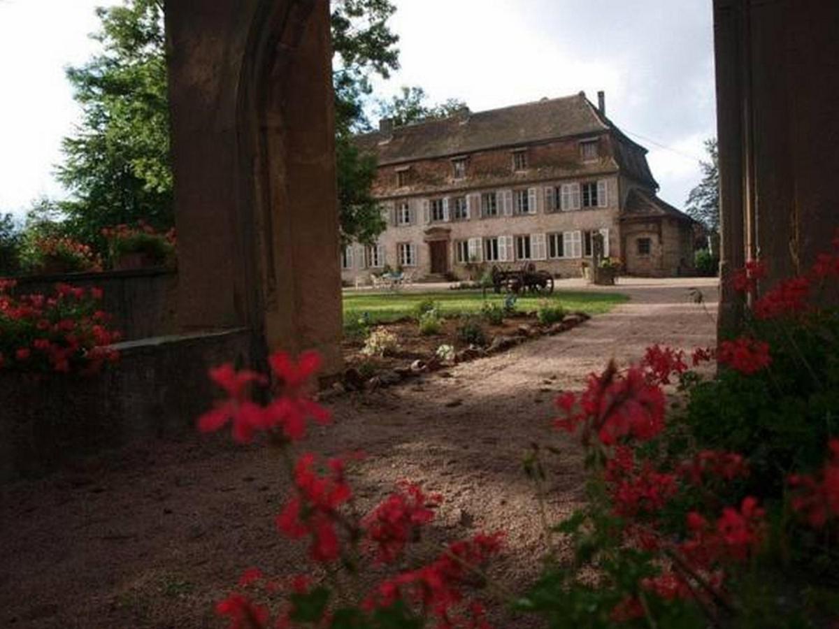 Chambres D'Hotes Chateau De Grunstein Stotzheim Екстер'єр фото